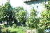 SH-ML: Vista desde balcon hacia jardines del condominio